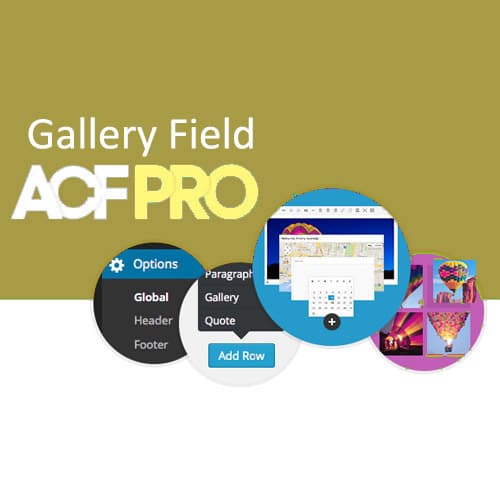 Advanced Custom Fields Γκαλερί Field Addon