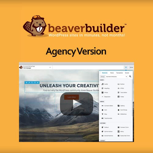 Beaver ตัวสร้าง Plugin - เอเจนซี่ Version