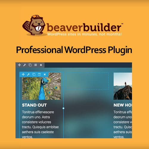 Beaver ตัวสร้าง Professional WordPress Plugin