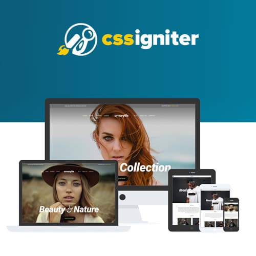 CSS Igniter Amaryllis Theme WordPress