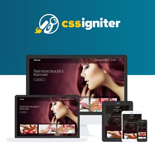 CSS Igniter Beaute ธีม WordPress