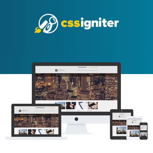 CSS Igniter ZakelijkTwo WordPress-thema