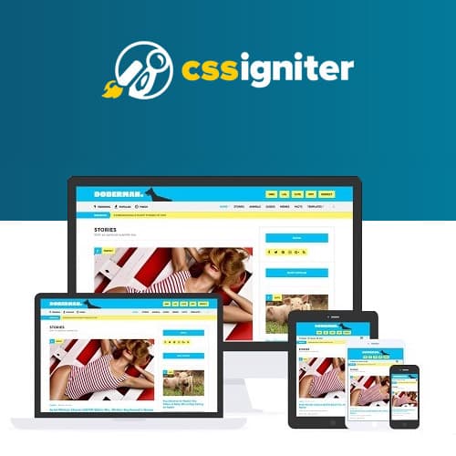 CSS Igniter Doberman Theme WordPress