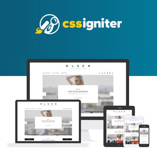 CSS Igniter Olsen Theme WordPress
