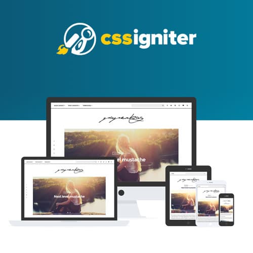 CSS Igniter Paperbag Theme WordPress