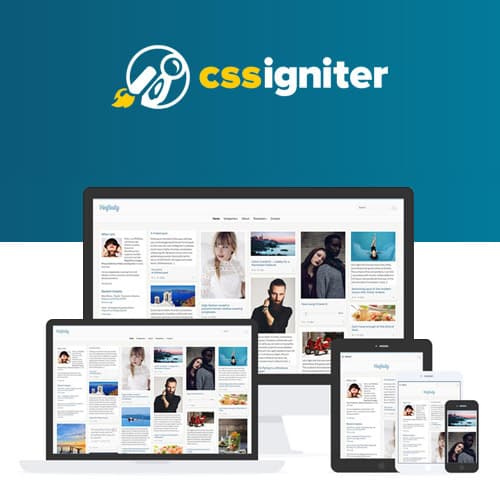 CSS Igniter Pinfinity Theme WordPress