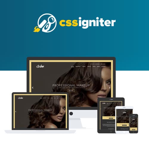 CSS Igniter Salon WordPress-thema