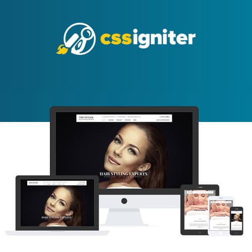 CSS Igniter The Styler Theme WordPress