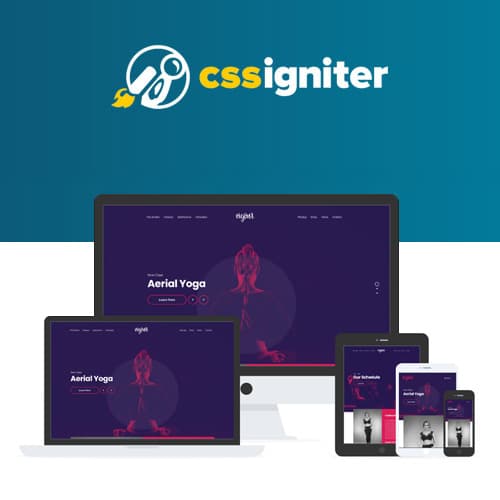 CSS Igniter Vigour WordPress-thema