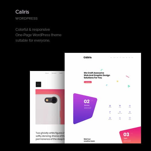Caliris - Responsive One Page WordPress-thema