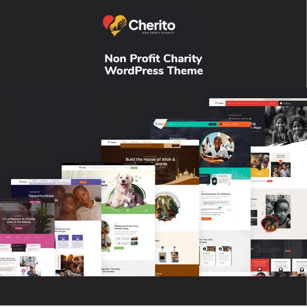 Cherito - Non Profit Charity ورڈپریس تھیم