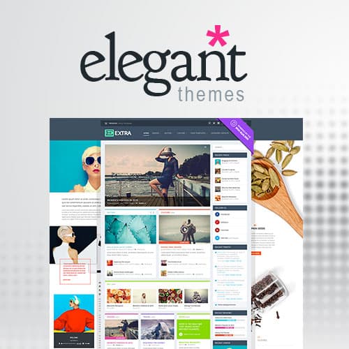 Elegant Themes Extra WordPress主題