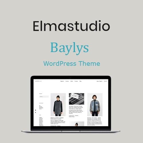 ElmaStudio Baylys Tema WordPress