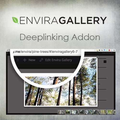 Envira گیلری - Deeplinking Addon