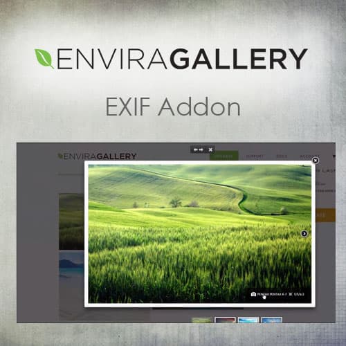 Envira Galerie - EXIF Addon