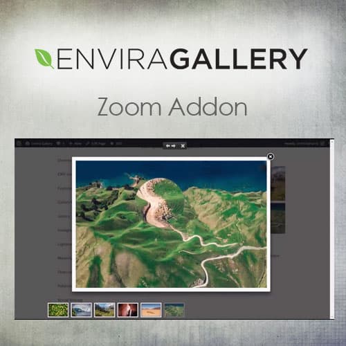 Envira معرض - Zoom إضافة