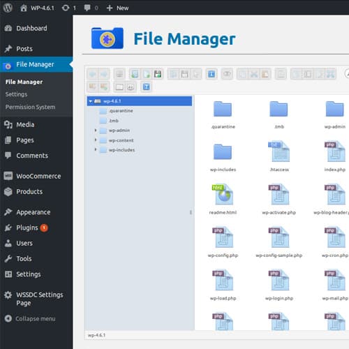 File مدير Plugin For Wordpress