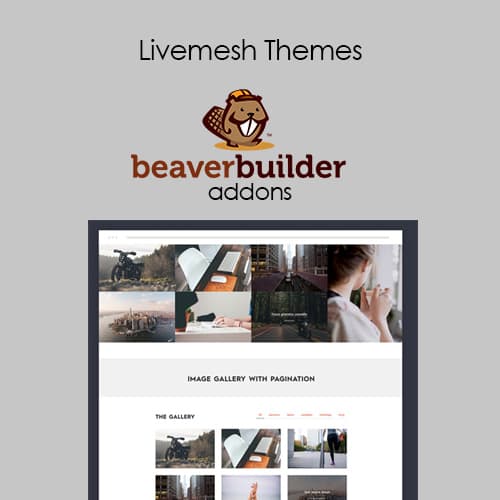 Livemesh Addons for Beaver ตัวสร้าง