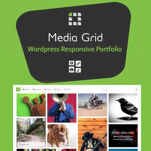 Medios Grid - Wordpress Responsivo Portafolio