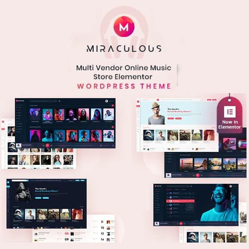 Miraculous - Multi Vendor Online Music Negozio Elementor Tema WordPress