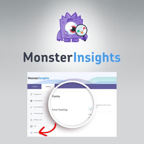 MonsterInsights - Modulos Tracking Addon