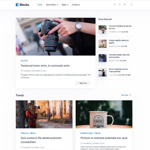 MyThemeShop Blocks WordPress-Theme