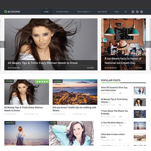 MyThemeShop Blogging قالب ووردبريس