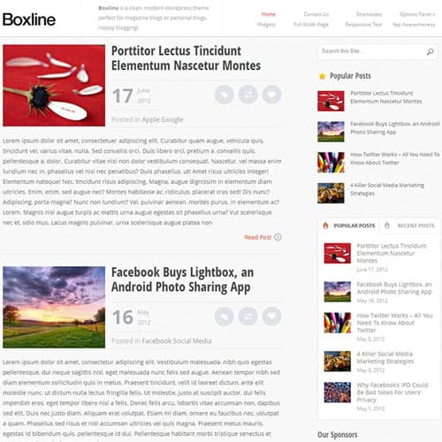 MyThemeShop Boxline ธีม WordPress