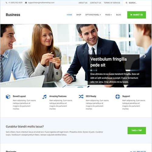 MyThemeShop Biznesowy Motyw WordPress