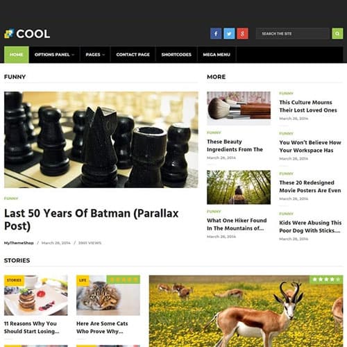 MyThemeShop Cool ธีม WordPress
