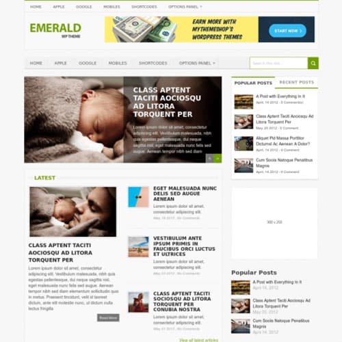 MyThemeShop Emerald WordPress Teması