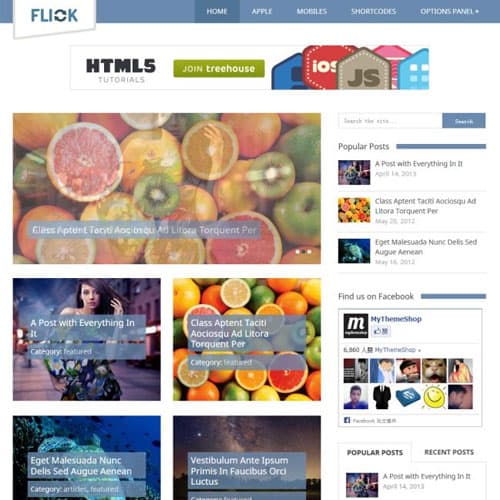 MyThemeShop Flick ธีม WordPress