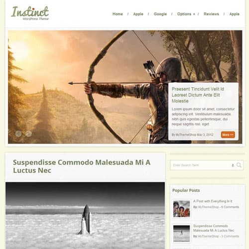 MyThemeShop Instinct WordPress Teması