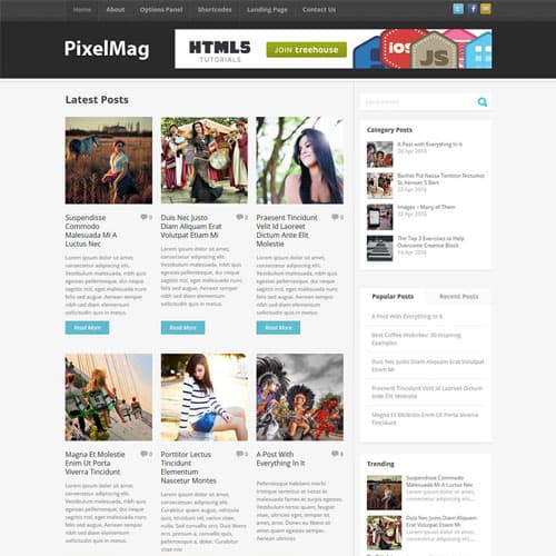 MyThemeShop Pixelmag ธีม WordPress