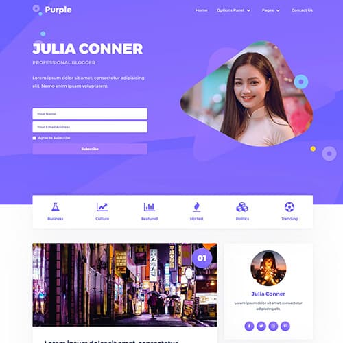 MyThemeShop Purple ธีม WordPress