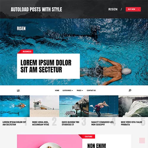 MyThemeShop Risen WordPress-thema