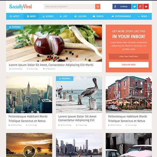 MyThemeShop 社交lyViral WordPress主题