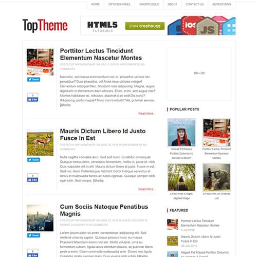 MyThemeShop Top ธีม WordPress