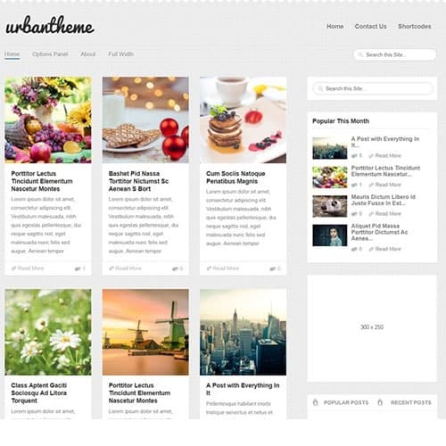 MyThemeShop Urban WordPress Teması