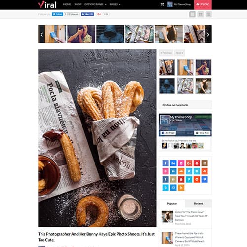 MyThemeShop Viral WordPress Teması