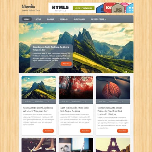 MyThemeShop Woodie ธีม WordPress