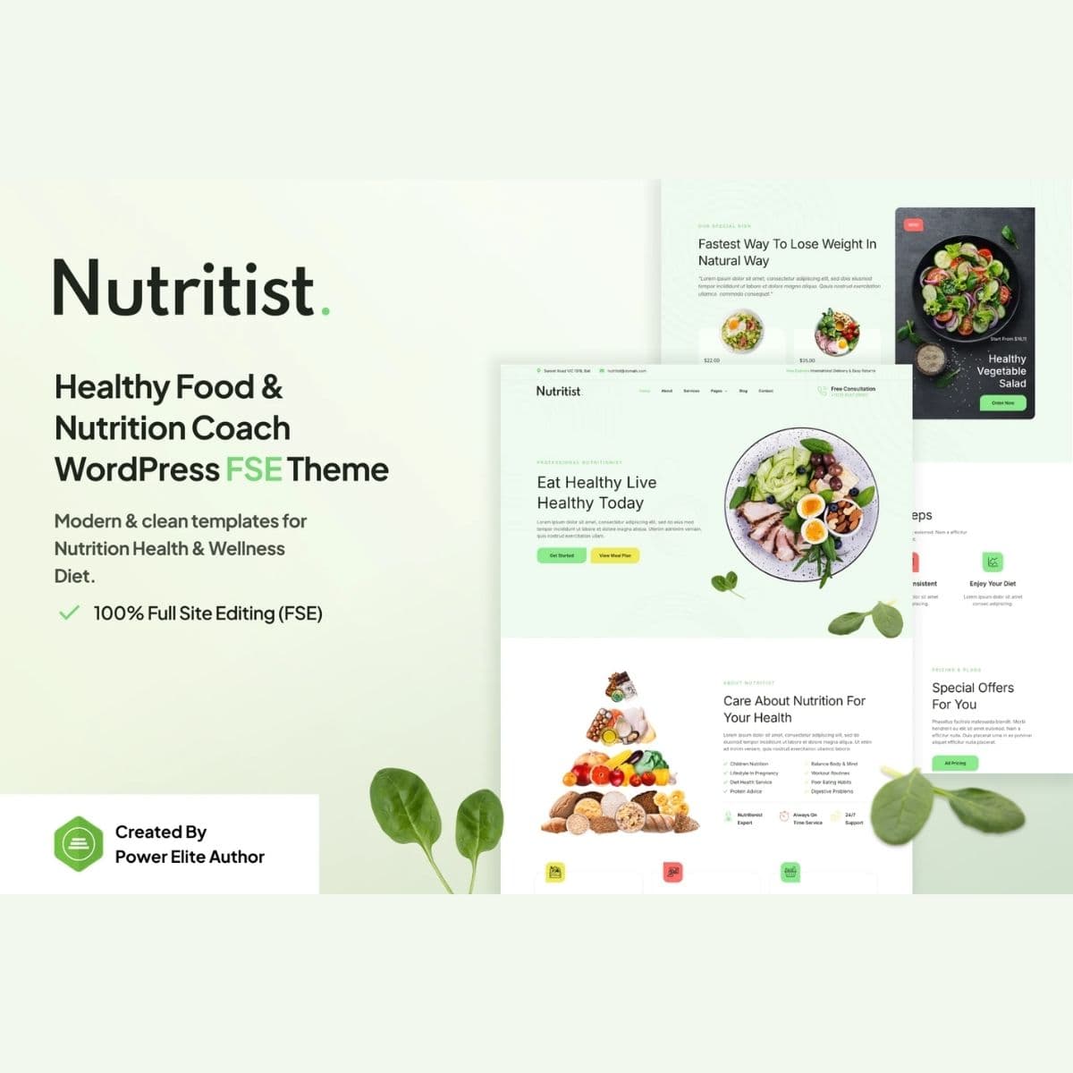 Nutritist – Здоровьеy Food & Nutrition Coach Gutenverse FSE Тема WordPress
