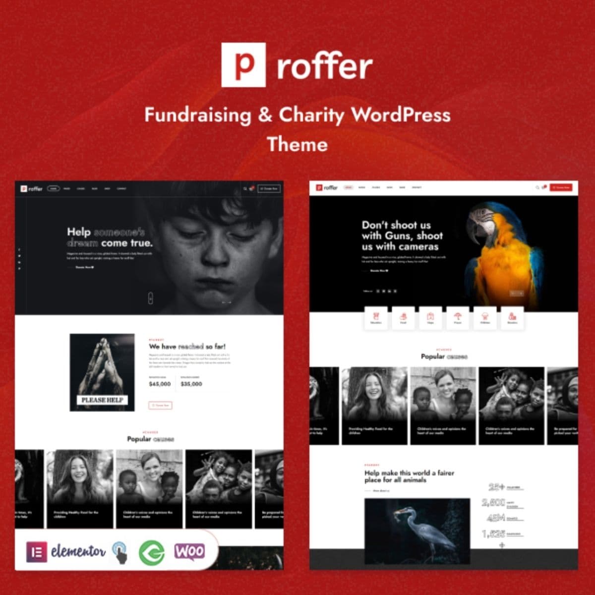 Proffer - Fundraising & Charity Tema de WordPress