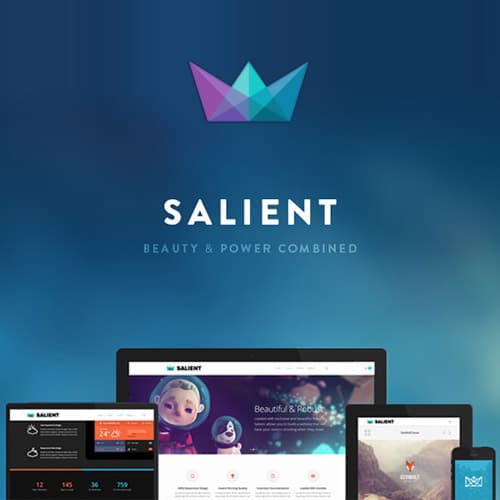 Salient - Responsiv Mehrzweck Theme