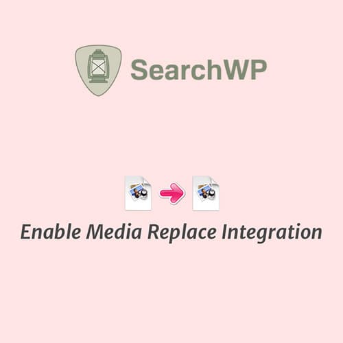SearchWP Enable 미디어 Replace 통합