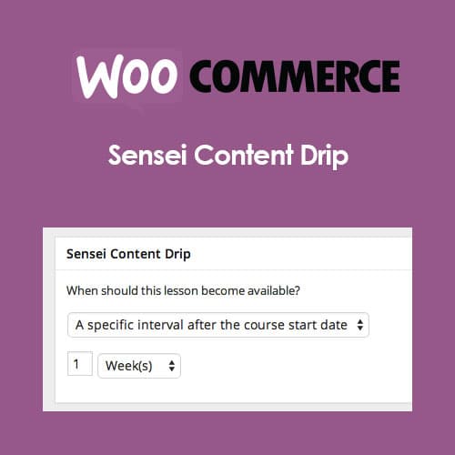Sensei Contenu Drip