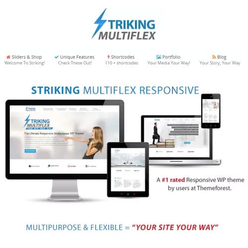 Striking MultiFlex & Ecommerce ریسپانسو WP Theme