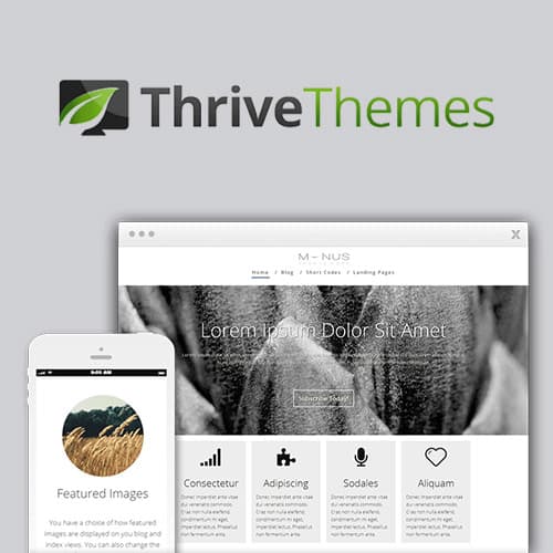 Thrive Themes Minus WordPress主題
