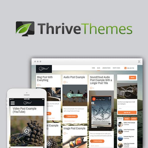 Thrive Themes Storied WordPress主題