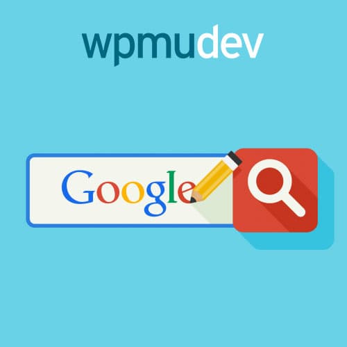 WPMU DEV Пользовательский Google Поиск